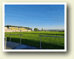 Sportfest der Vollzeitklassen zum Schuljahresstart am 15.09.2023.